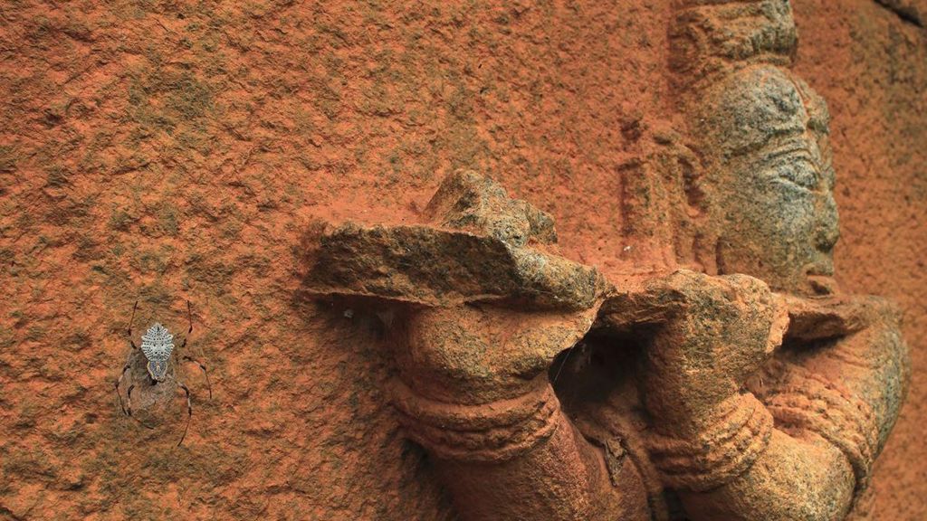 A giant spider on a terracotta coloured wall featuring a relief of a person playing a wind instrument