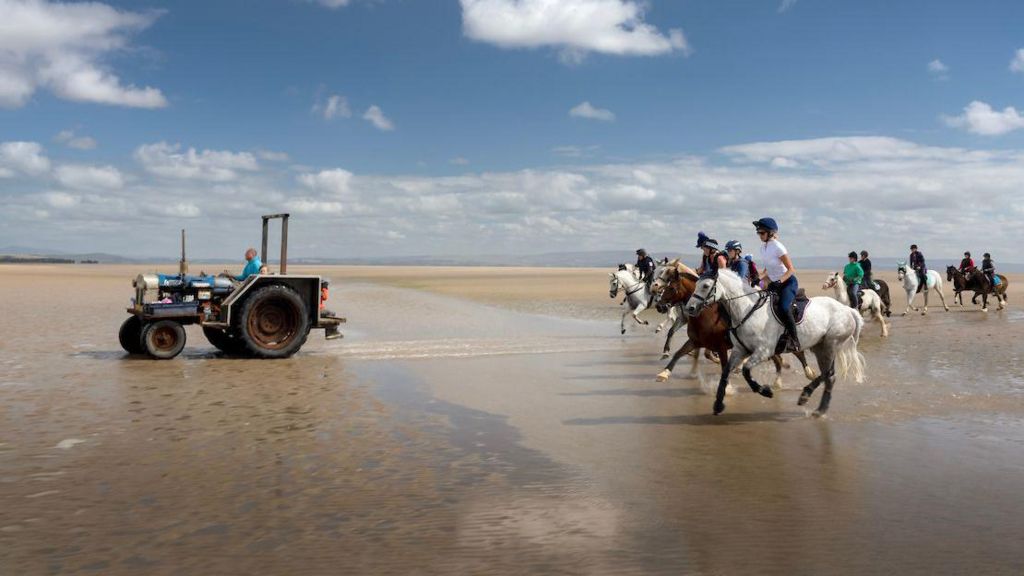 Michael Wilson on his tractor, leading riders over the bay