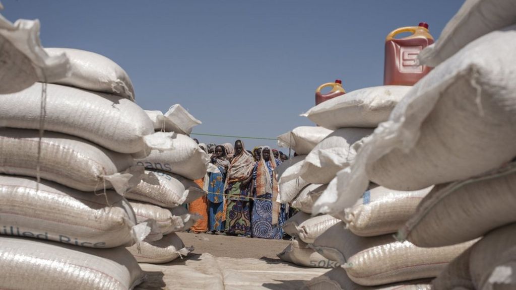 'Half' Nigeria food aid for Boko Haram victims not delivered - BBC News