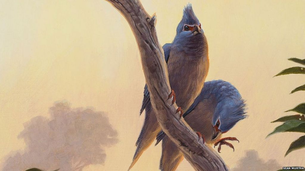 Fossil sheds light on bird evolution after asteroid strike