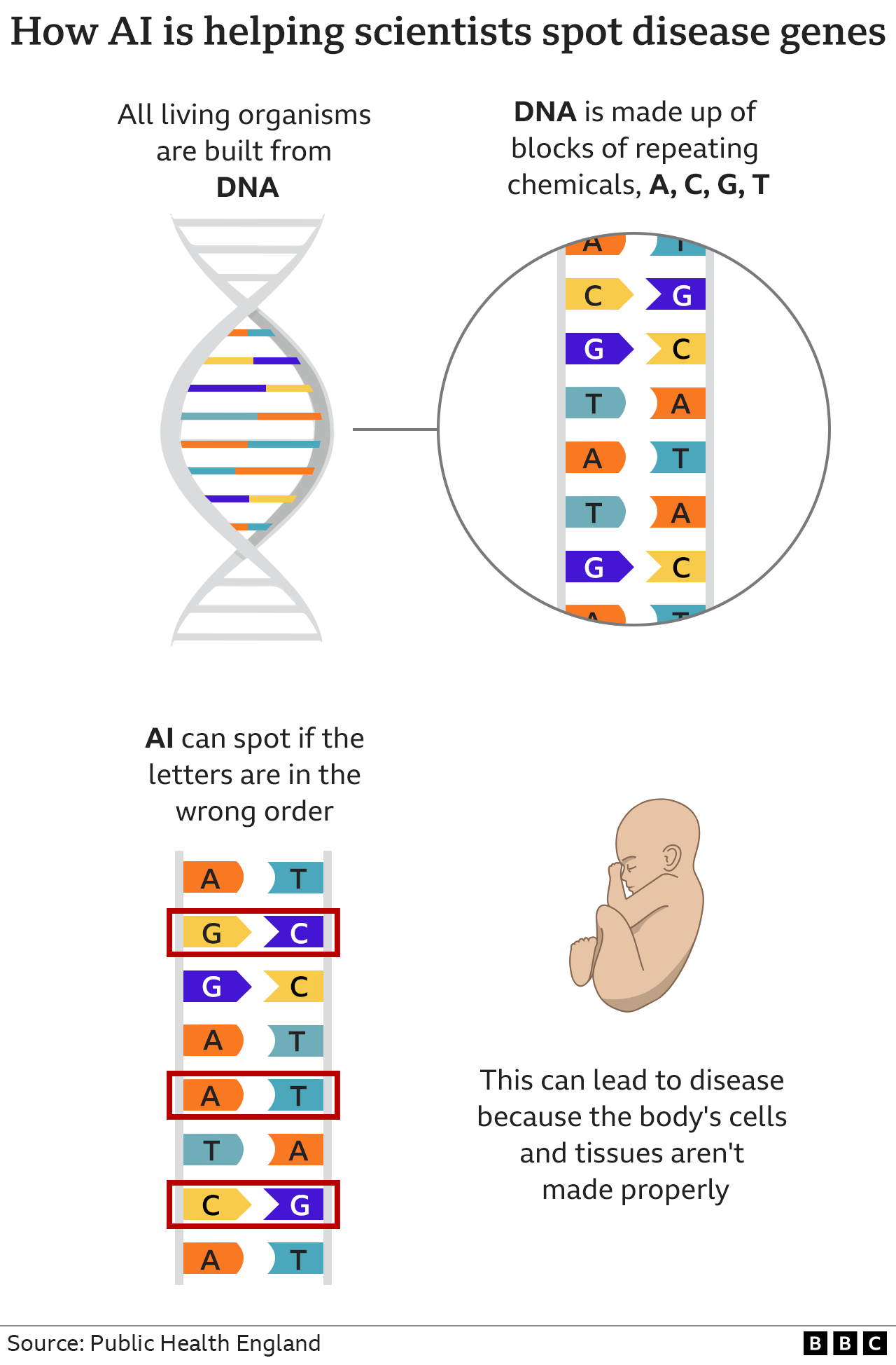 Graphic showing how faulty DNA causes disease
