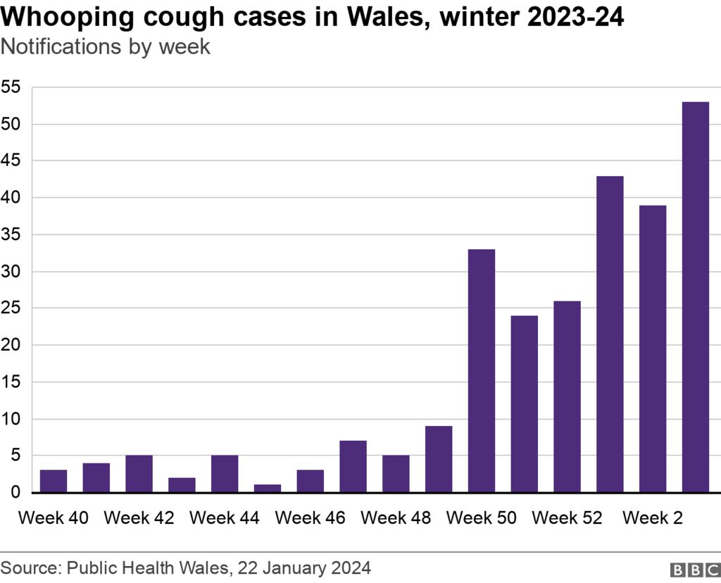 Whooping cough chart