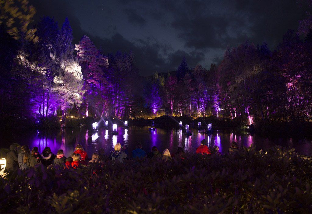 Enchanted Forest lit up with 'shimmer' show - BBC News