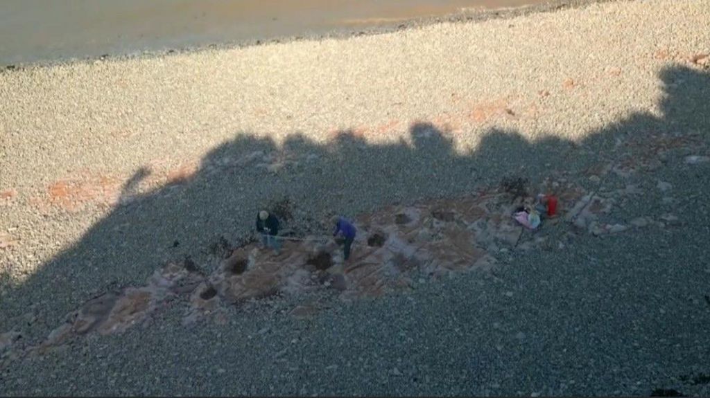 An aerial shot of the footprints Tegan found on a beach near Penarth in south Wales