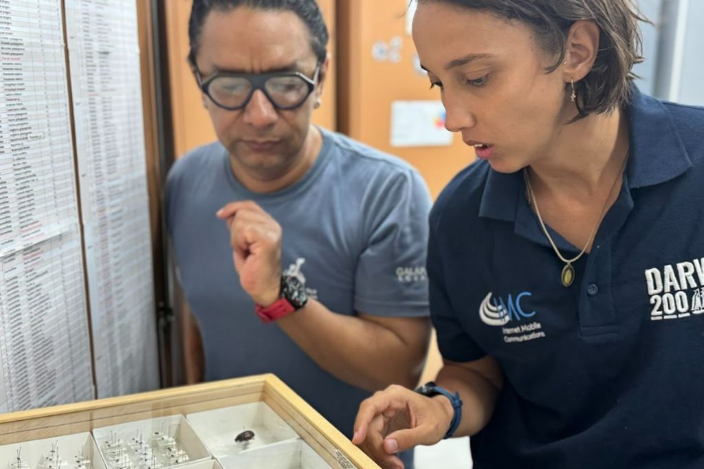 A young woman in a blue t-shirt branded Darwin 200 looks at a display of insects, while an older man looks on.