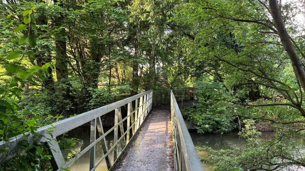 A metal bridge above a river, nestled amongst trees on Fitzgerald farm