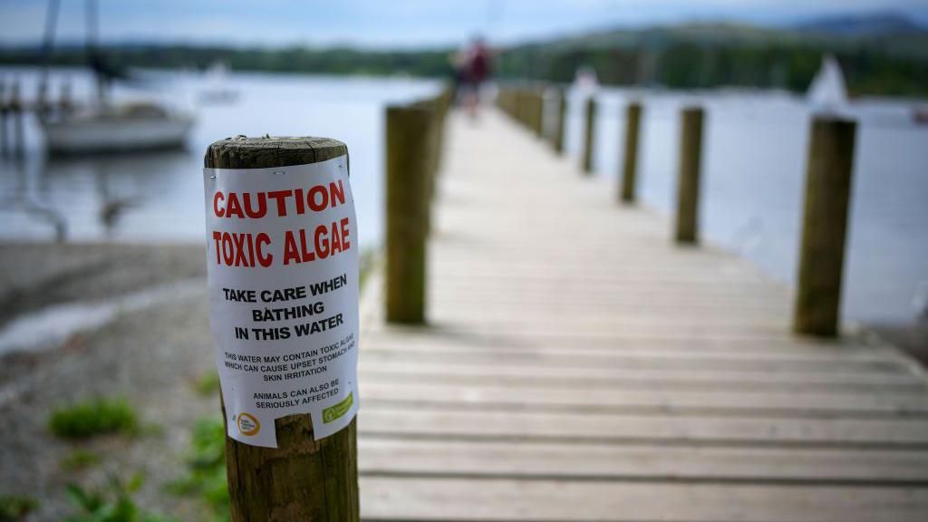  A sign on the shore warns bathers and swimmers about toxic algae in Lake Windermere