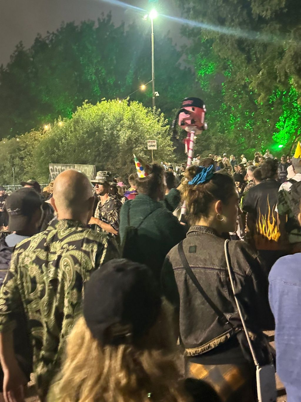 A festivalgoer with a Henrietta Hoover on a pole