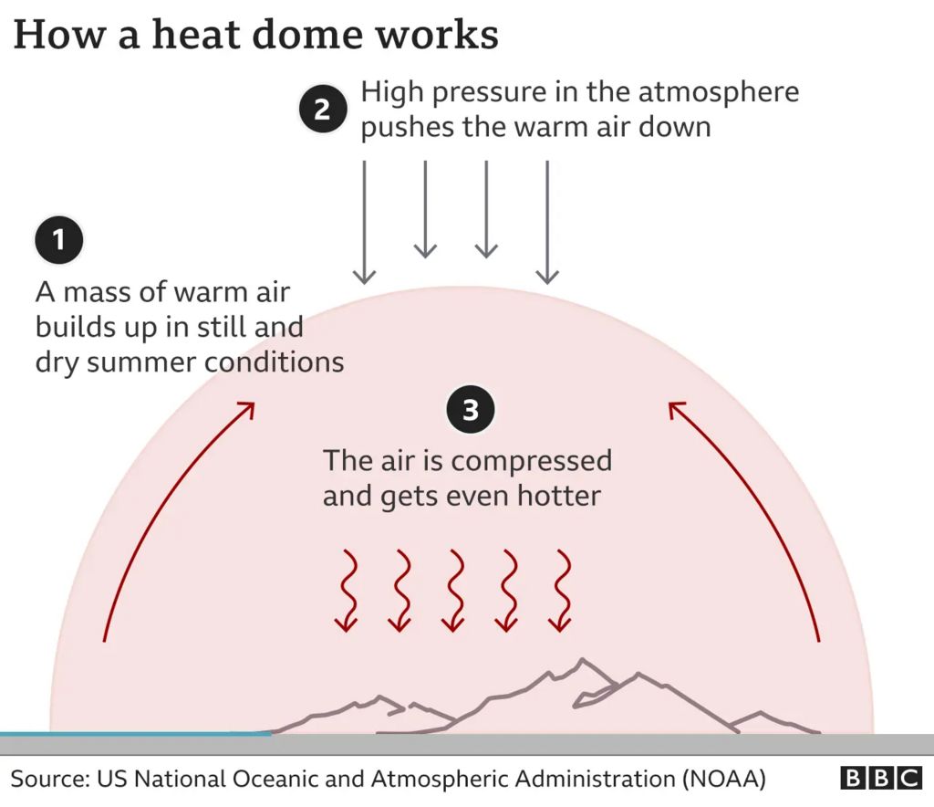 A graphic describing how heat domes trap hot air