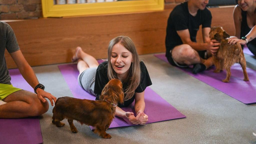 A puppy yoga session