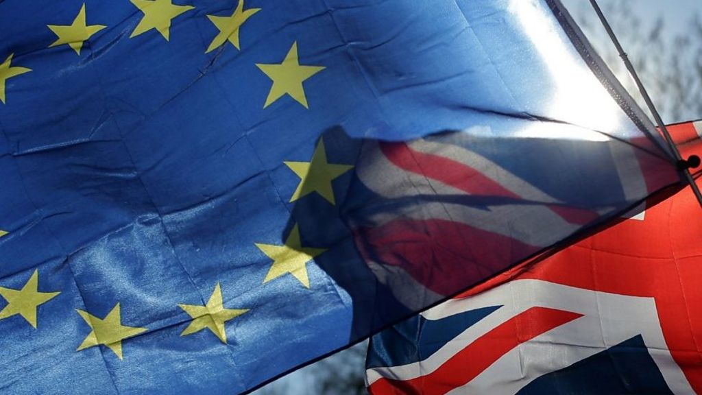 Brexit: MPs question impact of leaving without a trade agreement