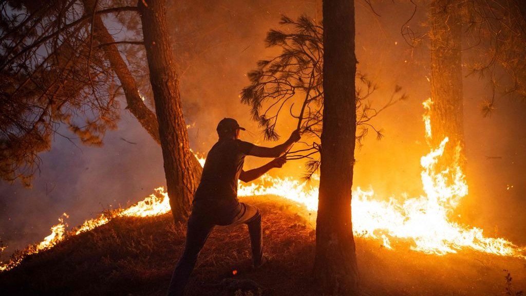 A man beating a wildfire with a branch in the Chefchaouen region of northern Morocco (August 2021)