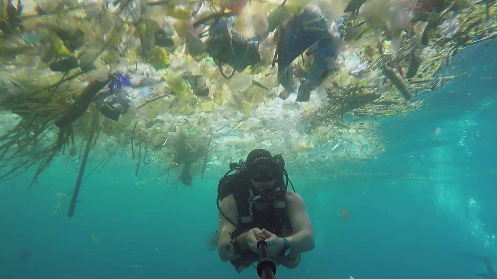 Plastic pollution: Plastic particles have been found in melted arctic ...