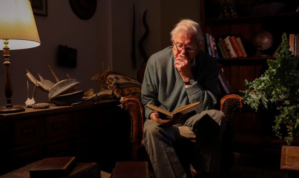 Sir David Attenborough sits on an armchair in a lowlit room and reads from a book. He wears a green jumper, slacks and glasses. A bookshelf is visible in the background. To his left is a house plant and a lamp can be seen on a table on his right. 