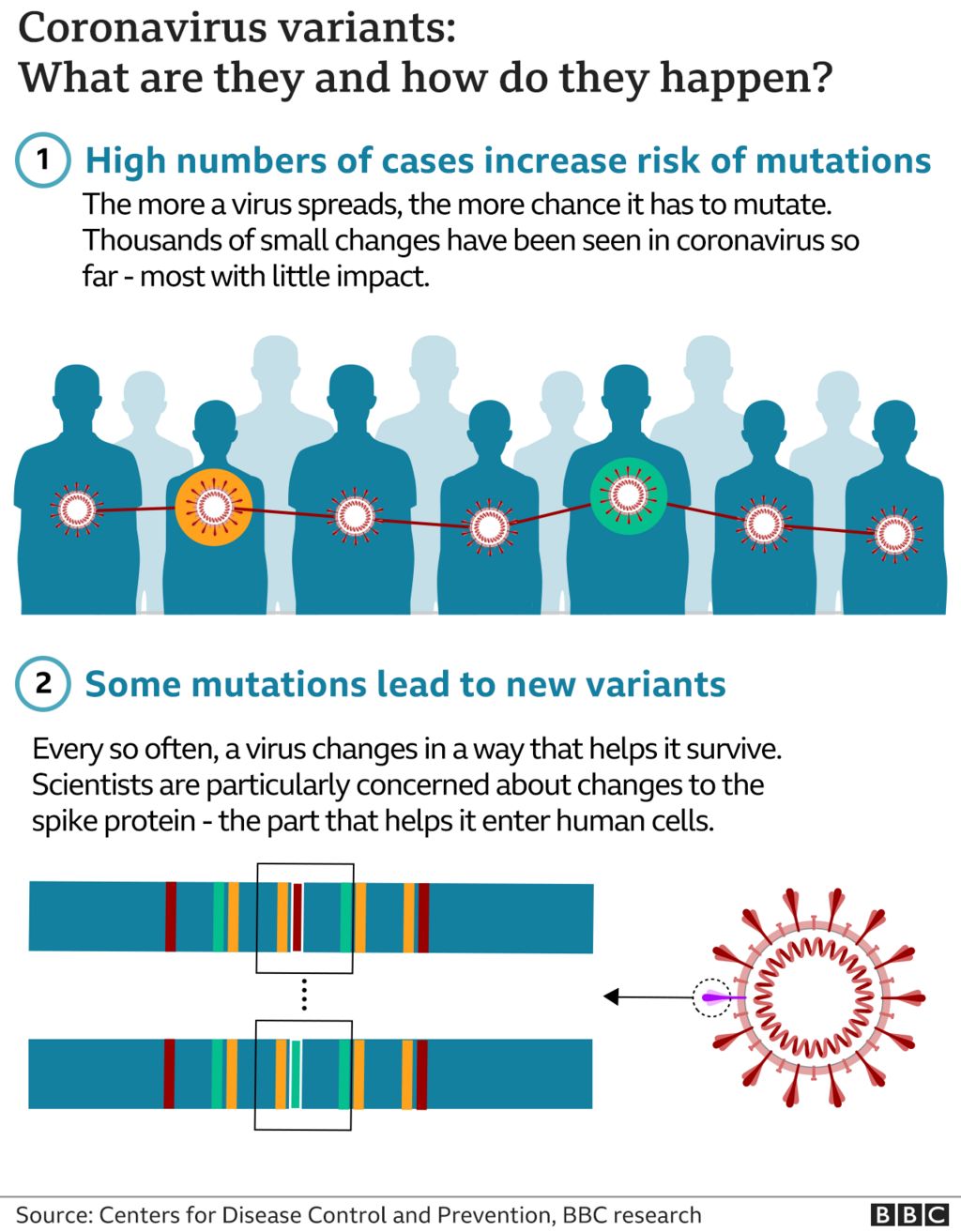 Latest omicron news variant Coronavirus News,