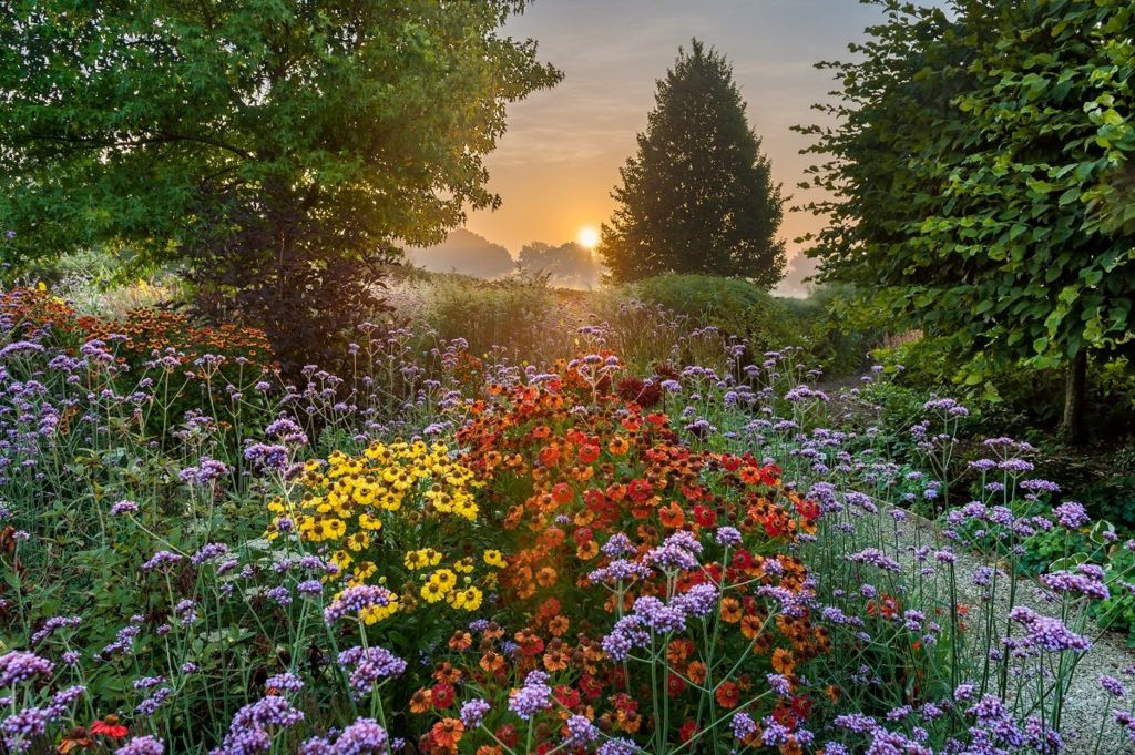 A field of purple, yellow, orange and red flowers