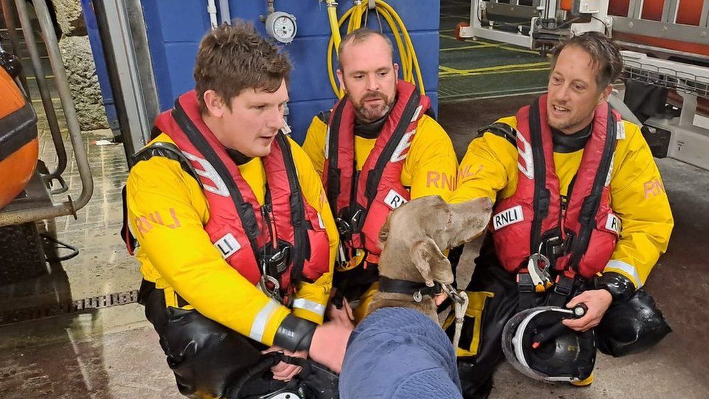 A lifeboat crew with a rescued dog
