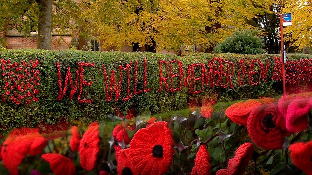 A New Forest Village has come together to create a display of 4,000 poppies ahead of Remembrance Day.