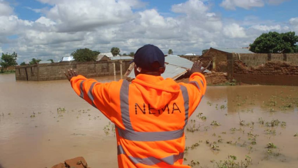 A worker for the National Emergency Management Agency (Nema)  surveys a flood site in northwestern Nigeria.