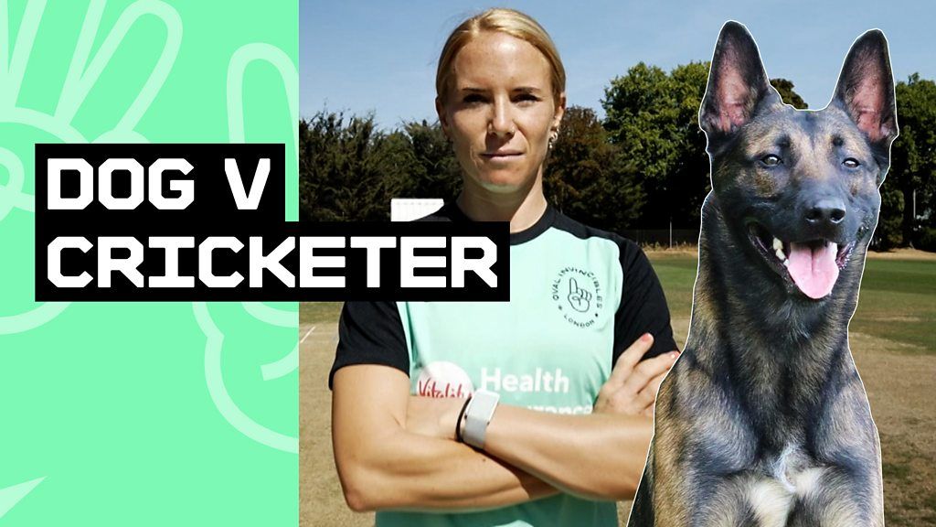 Lauren Winfield-Hill takes on highly-trained service dog in Hundred fielding challenge