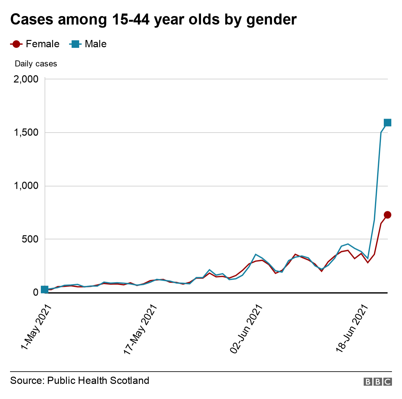 updated cases by gender