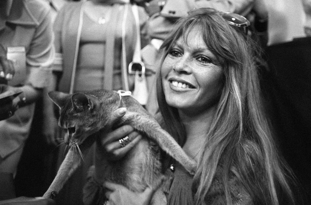 French actress and animal rights activist Brigitte Bardot attends the international feline exhibition in Saint-Tropez, southern France, on June 4, 1977