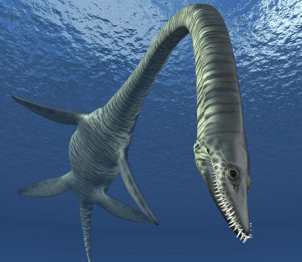 water dinosaur plesiosaur