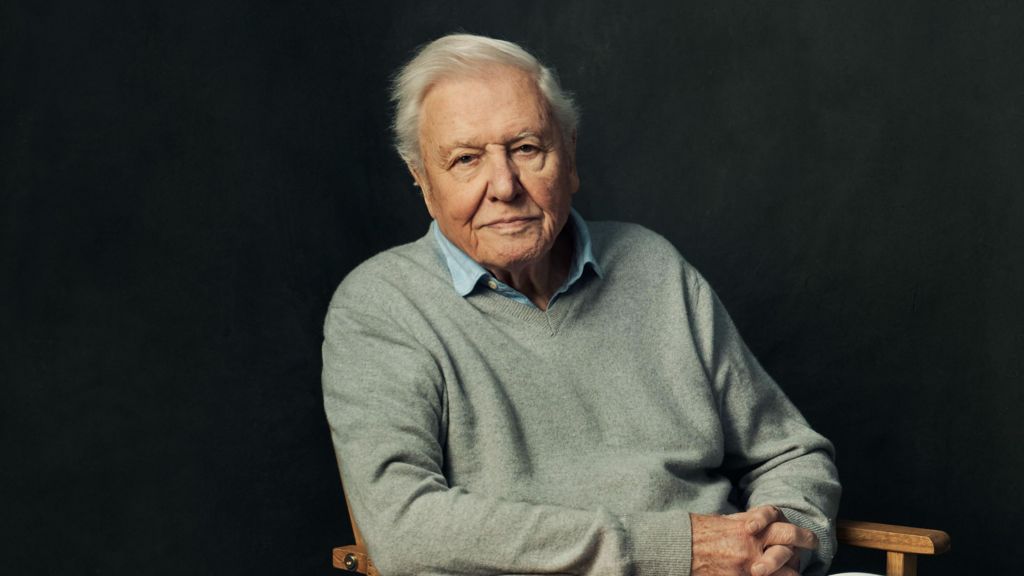 Sir David Attenborough sitting in a chair wearing a shirt and jumper