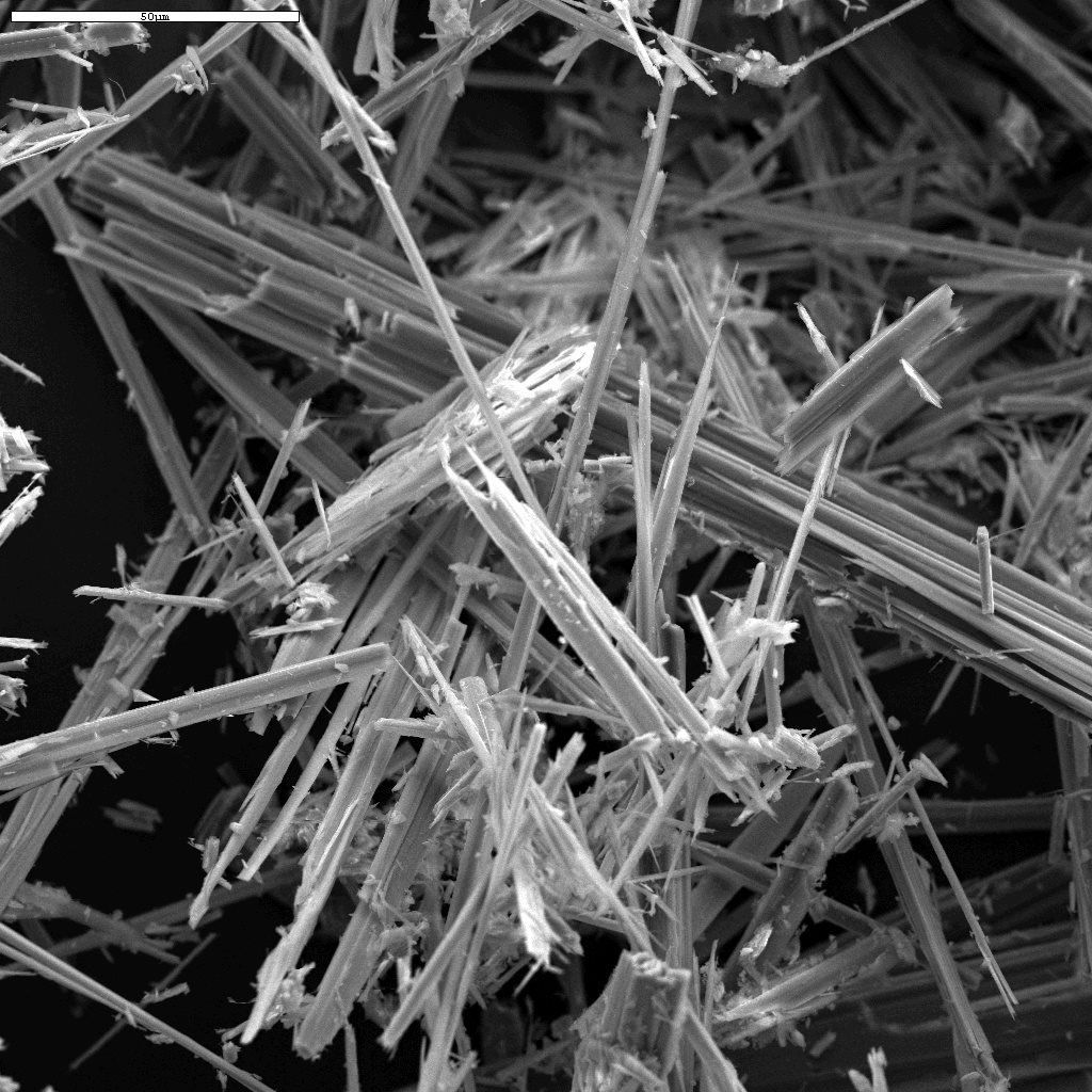 Microscope image of asbestos