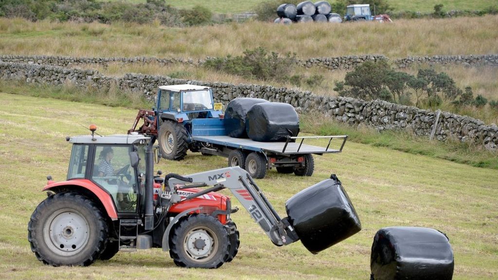 Farmers cannot go over cliff-edge after Brexit, UFU says