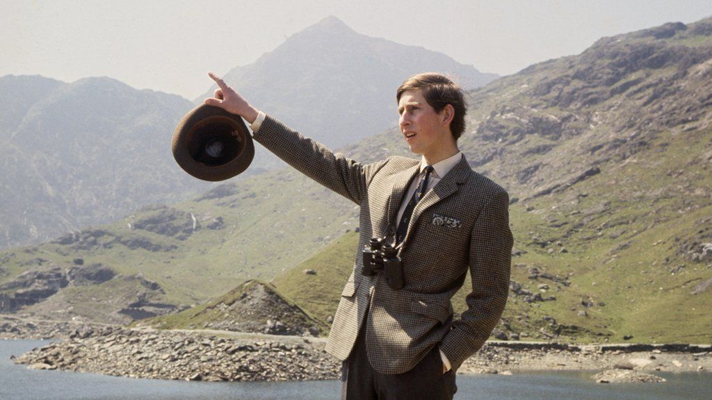 Young Prince of Wales pointing into the distance.