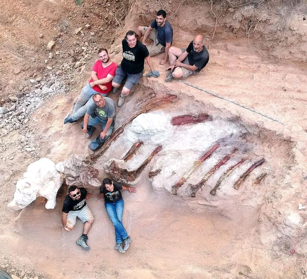 Palaeontologists sit with the ribs of the sauropod.