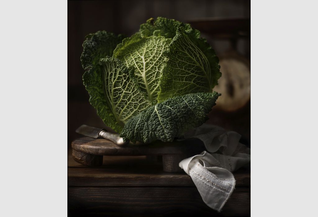 Savoy Cabbage by Flavio Catalano