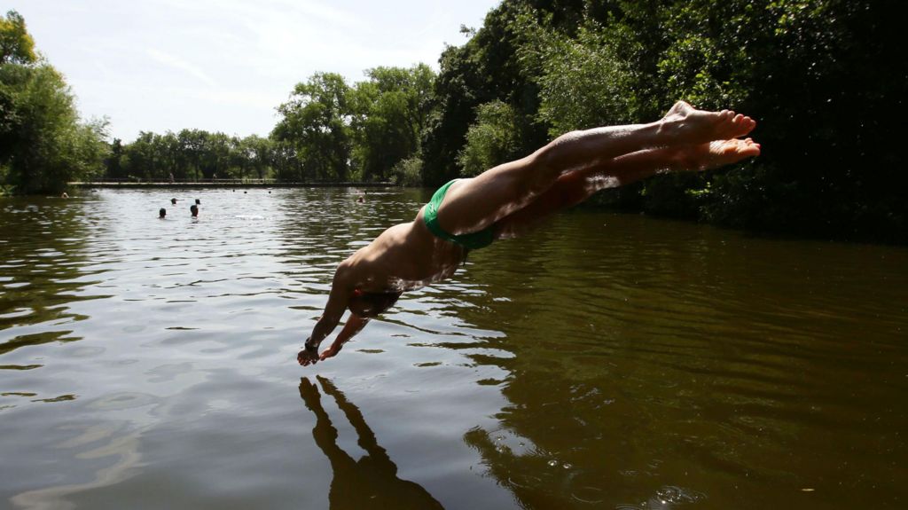 A male adult in green swimming trunks diving into a stretch of water