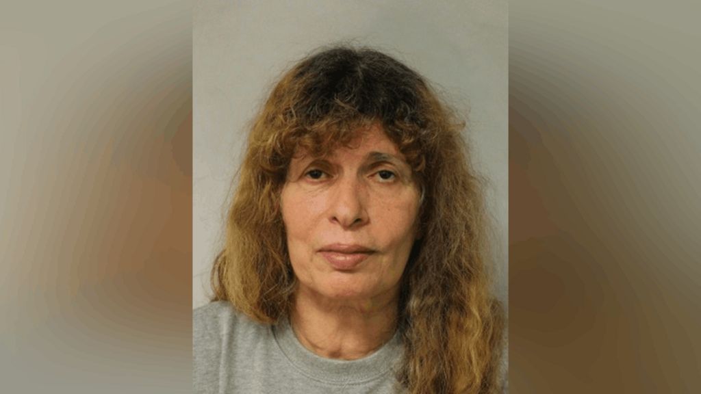 A custody image of Nancy Pexton