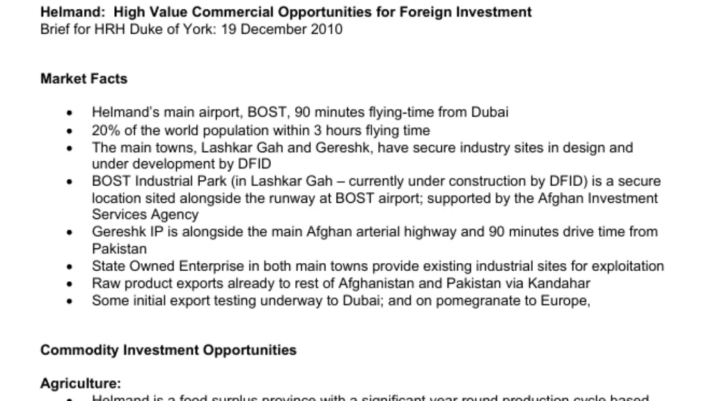 A snippet of the briefing which begins Helmand: High Value Commercial Opportunities for Foreign Investment and says Brief for HRH Duke of York: 19 December 2010