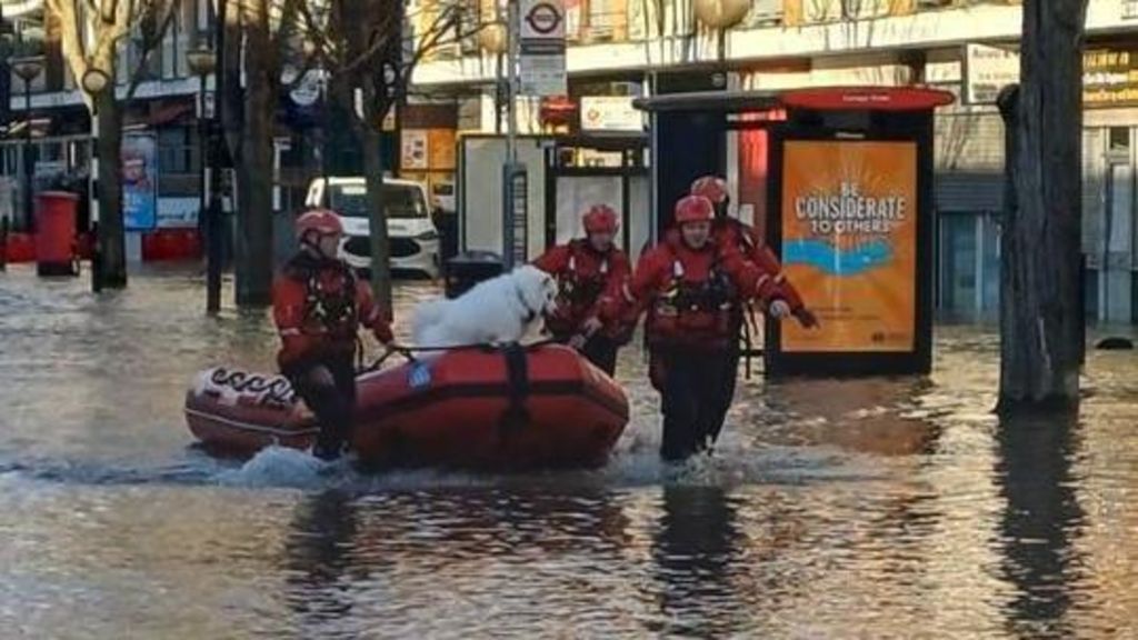 A street lines with houses and flooded. A boat is being led down the road by three men in high viz. A dog is in the boat.