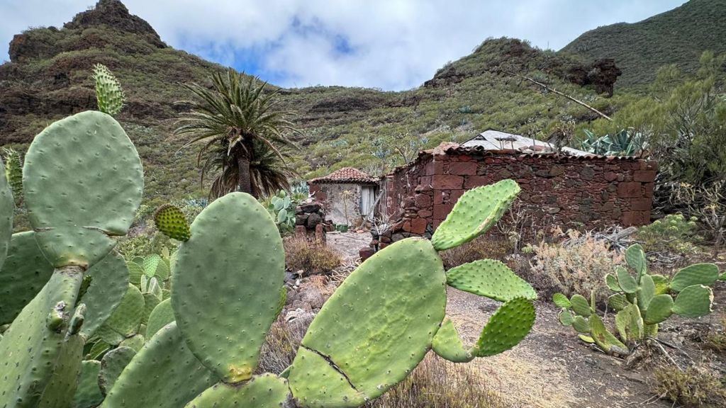 A rural scene on a hillside in Tenerife, with a cactus visible in the foreground, run down red brick buildings, and mountains covered in greenery behind them