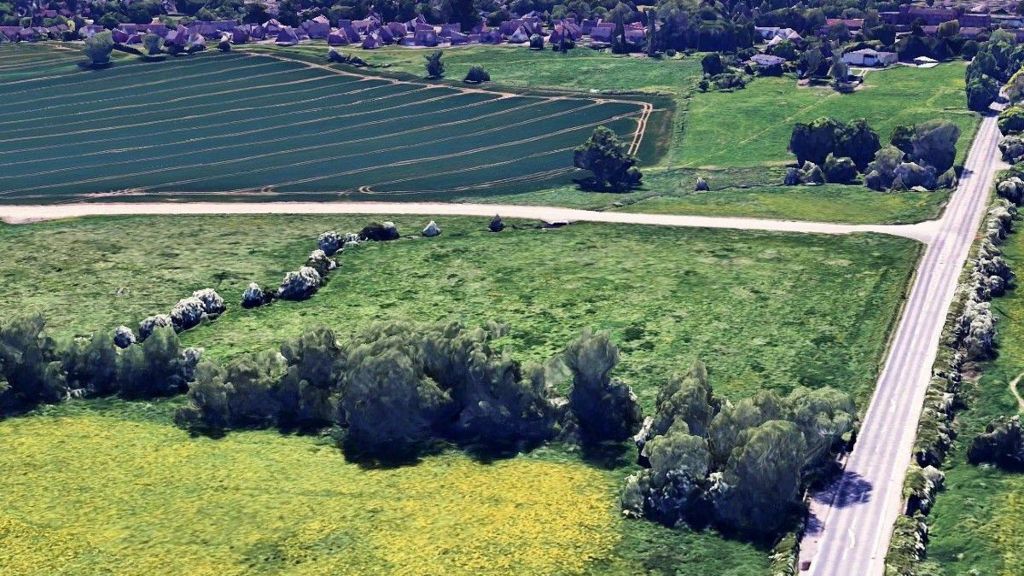 An aerial picture showing a road and path going off to the left. There is a line of trees and several groups of trees and a meadow with yellow flowers. 