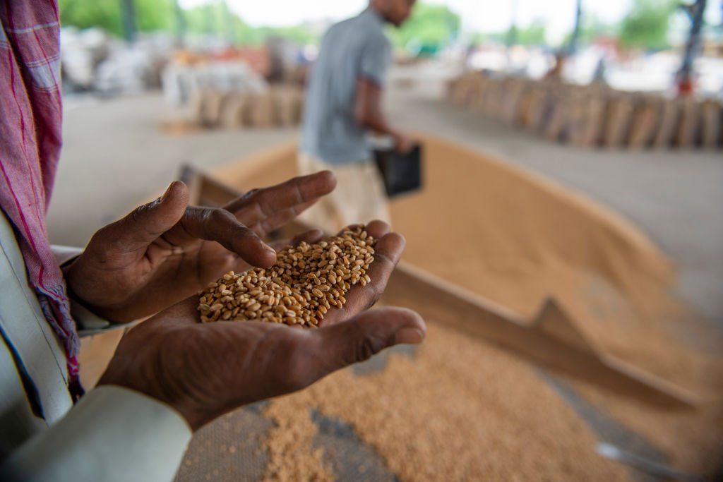 India is the second largest producer of wheat globally