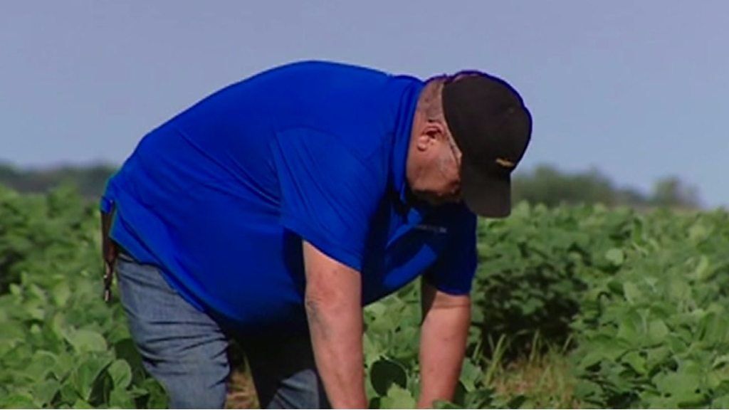 US soy farmers take on Trump’s trade war