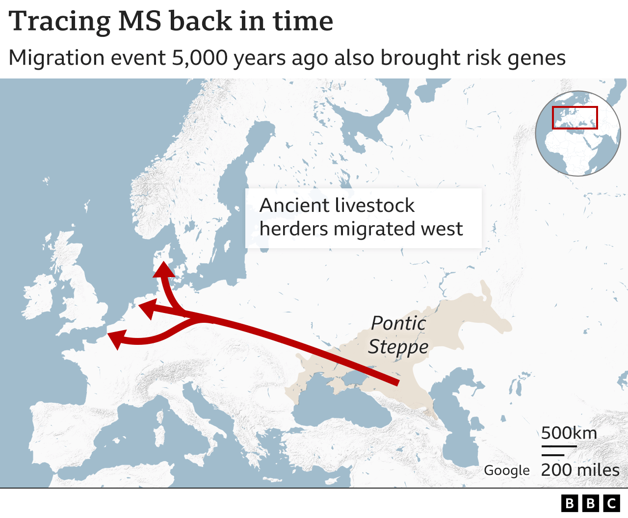 Map tracing the disease MS back in time to movement of cattle herders west into Europe