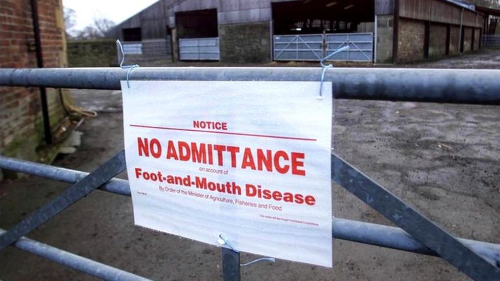 NI chief vet warns holiday makers of animal disease risk