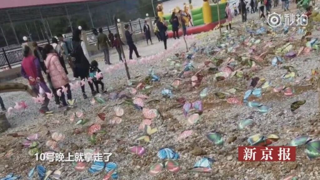 Photo taken by visitors in a butterfly exhibition held in Guanxi, China, 10 December 2017