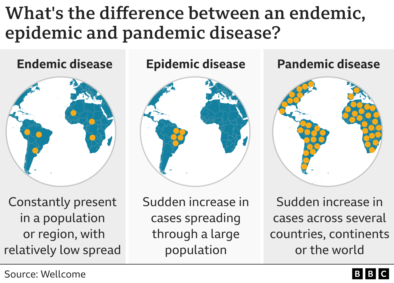 endemic-covid-is-the-pandemic-entering-its-endgame-bbc-news