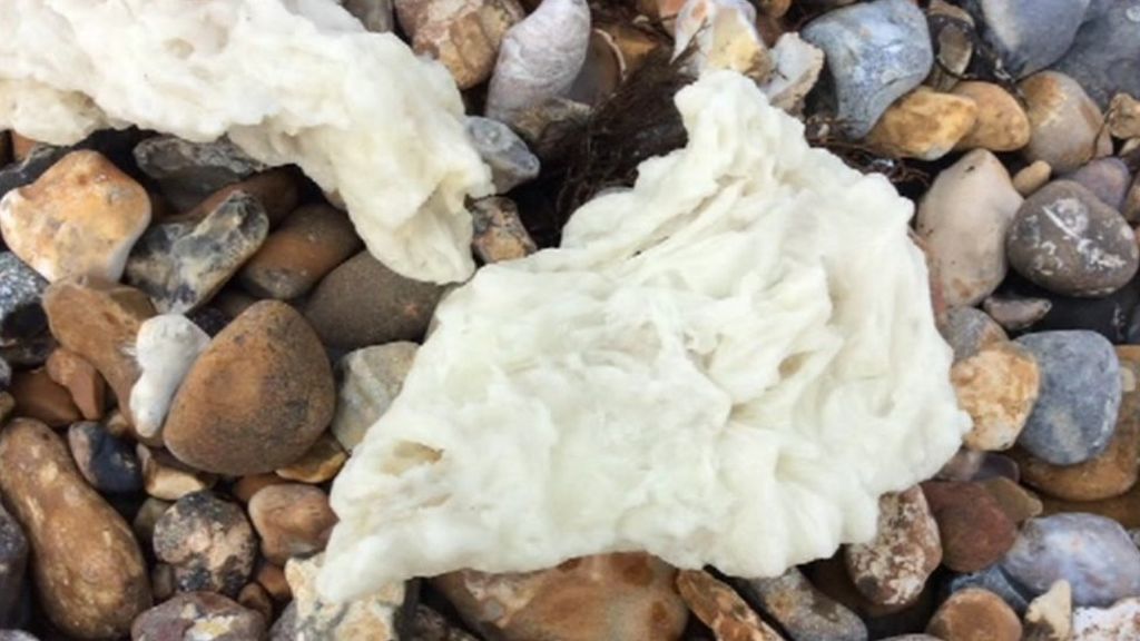 Palm oil deposits washed up on Sussex beaches - BBC News