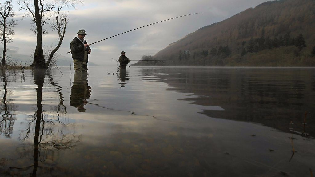 Male river fish show feminised traits due to chemicals flushed away