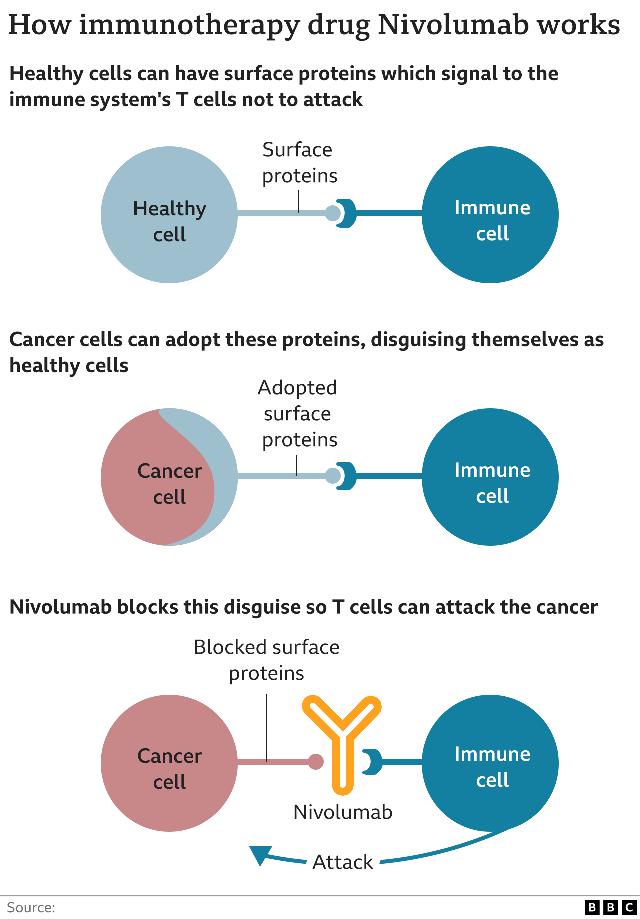иллюстрация того, как работают иммунотерапевтические препараты