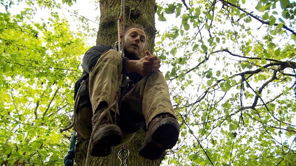 HS2 protester Quercus in a tree