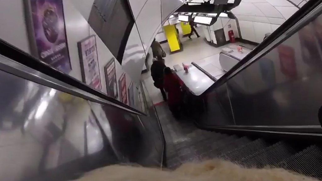 amit patel and guide dog on escalator